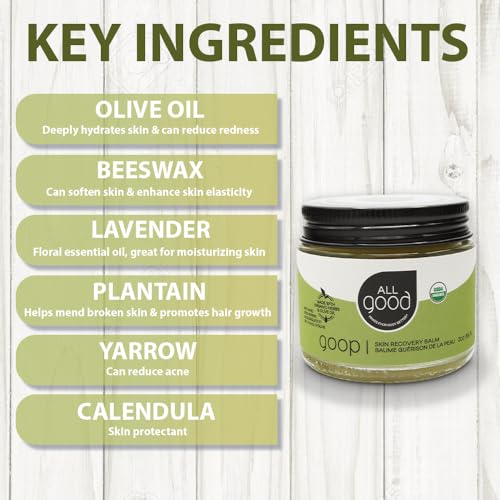 All Good Goop Organic Skin Care Recovery Balm - All Purpose Ointment w/Calendula, Lavender, Beeswax - Chafing Cream, Dry Skin Salve, Cracking Lip Moisturizer - Soothes, Hydrates & Calms - 2oz, 2-pack - size: 2 Ounce (Pack of 2)