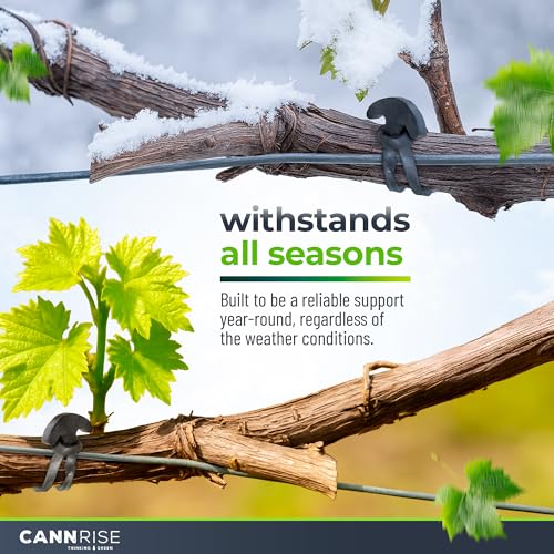 Anchor Bands for Trellising – 110-Pack 5 cm/1.96 in Rubber Vine Ties, UV-Protected Bands: Grapevines, Trees & Climbing Plants – Tool-Free Loop-and-Anchor Design for Install, Weatherproof - size: 110 pack / 1.96"