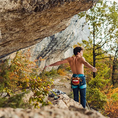 YY Vertical Rock Climbing Chalk Bags - style: Dog (Shiba)