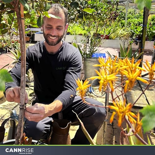 Anchor Bands for Trellising – 70-Pack 8 cm/3.14 in Rubber Vine Ties, UV-Protected Bands: Grapevines, Trees & Climbing Plants – Tool-Free Loop-and-Anchor Design for Install, Weatherproof - size: 70 pack / 3.14"