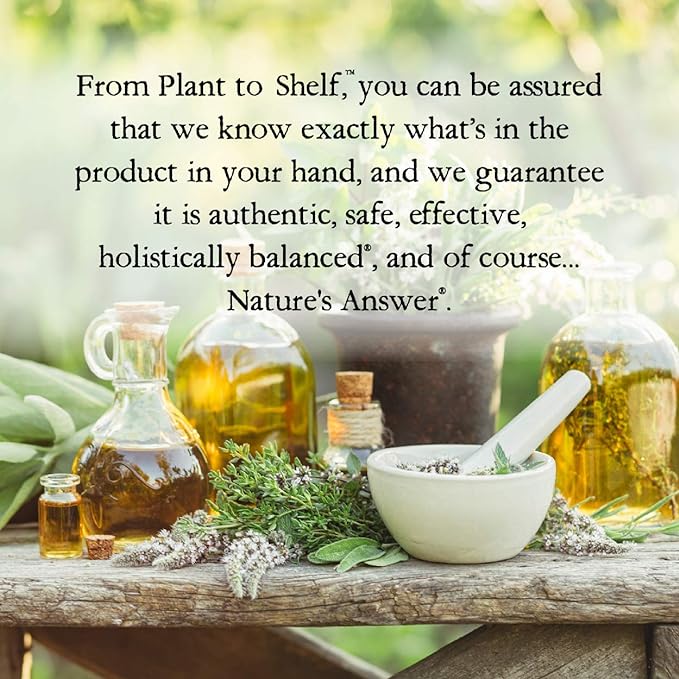Nature's Answer Nettle Extract 1 Ounce – Gluten Free, Non-GMO, Alcohol-Free, Kosher, Supports Prostate Function & Male Wellness – Made in The USA, Functional for Nettle Tea