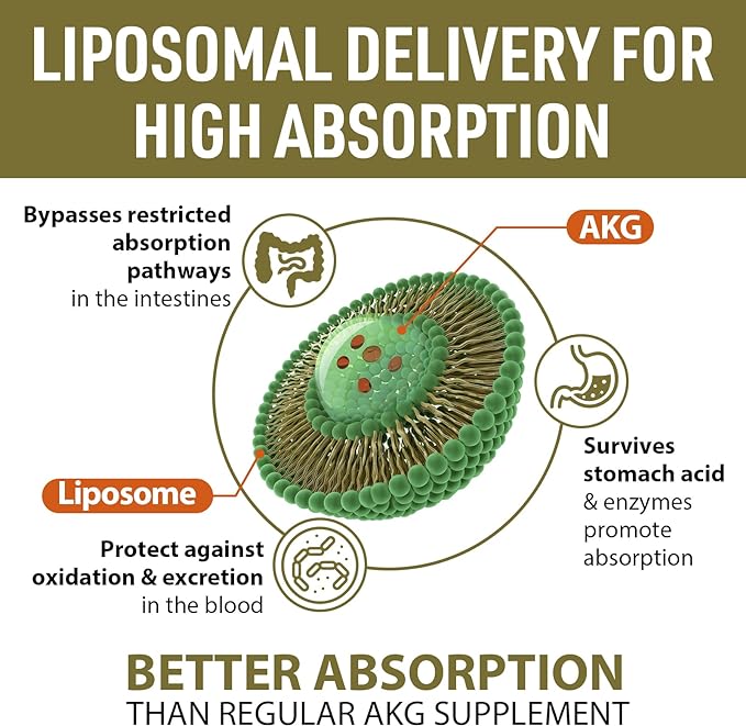 Liposomal Calcium AKG Supplement 1500 MG (Alpha-Ketoglutaric Acid), High Absorption, More Effective Than AAKG, Ca AKG for Longevity, Age Defense, Cellular Energy, Metabolic Function, 180 Softgels