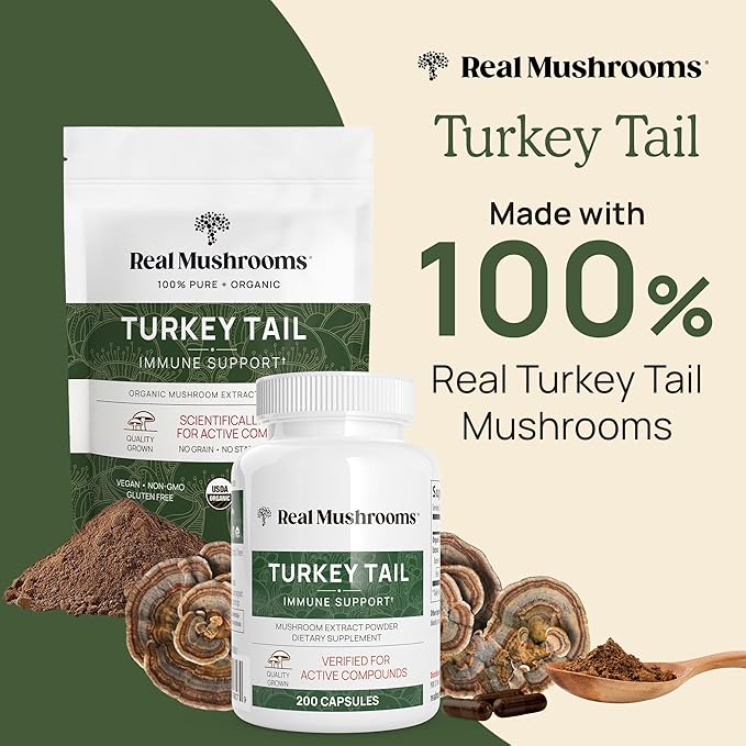 Real Mushrooms Turkey Tail Powder - Organic Mushroom Supplement with Potent Extract for Gut, Energy, Brain, Immune Support Vegan Powder, Non-GMO, 100 Servings