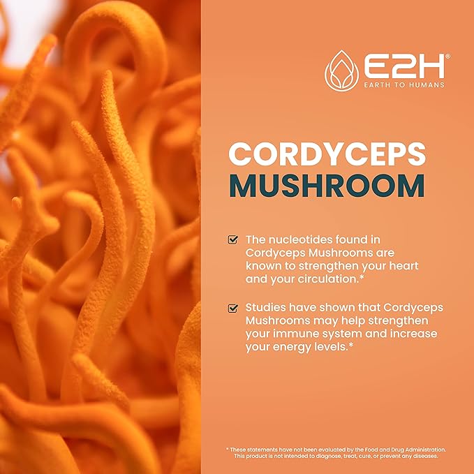 E2H Cordyceps Mushroom Extract - All-Natural Immune System, Energy & Stamina Support from Advanced Mushroom Supplement - Cordyceps Mushrooms Supplement - Non-GMO, Vegan - (2 Bottles)