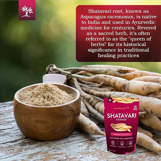 3.52 Ounce 100% Natural Shatavari Powder, Asparagus Racemosus, Pure Ayurvedic Herb for Energy & Vitality, Vegan, No Preservatives, (1.76 Ounce Pack of 2)