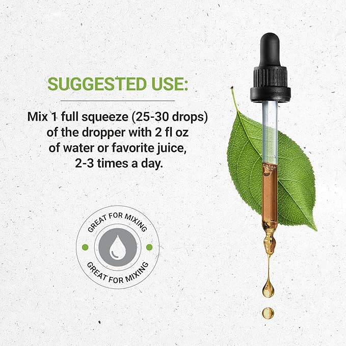 Secrets of the Tribe Butcher's Broom Alcohol-Free Liquid Extract, Butcher's Broom (Ruscus aculeatus) Dried Root Tincture Supplement (2 FL OZ)